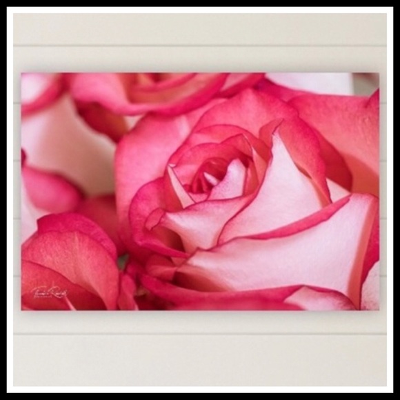 BEAUTIFUL FLORAL BOHO ROSE WALL ART DECOR A2C - Picture 6 of 11